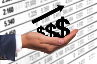 爱游戏体育娱乐-转型成功:传统豪门逆境中找到新的增长点,转型成功的企业有哪些