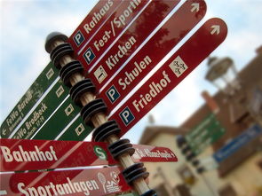 爱游戏平台-高校运动队选拔机制公平性研究，高校运动队选拔机制公平性研究报告