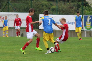 爱游戏app推荐-塞尔维亚实力不断提升，期待在国际大赛中突破